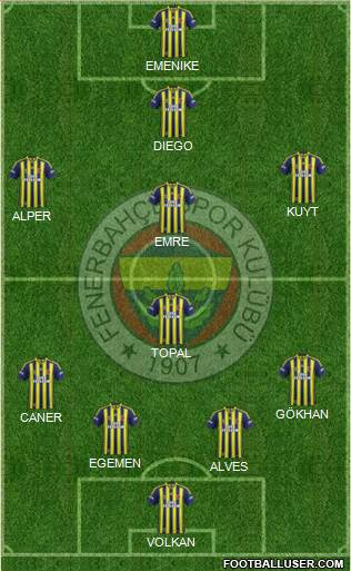 Fenerbahçe SK Formation 2014