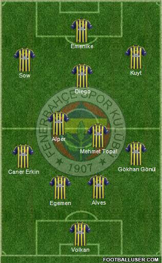 Fenerbahçe SK Formation 2014