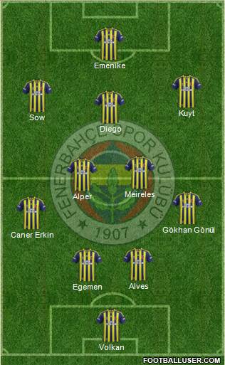 Fenerbahçe SK Formation 2014