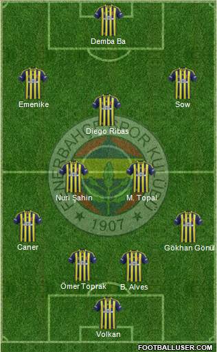 Fenerbahçe SK Formation 2014