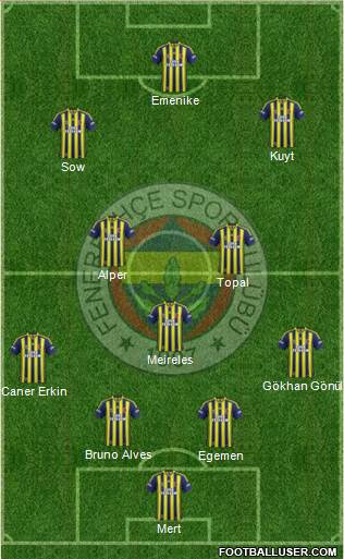 Fenerbahçe SK Formation 2014