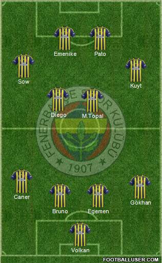 Fenerbahçe SK Formation 2014