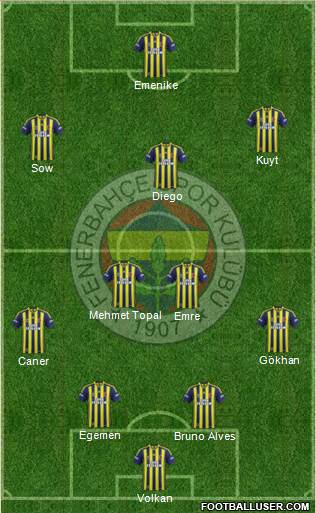 Fenerbahçe SK Formation 2014
