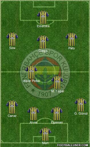 Fenerbahçe SK Formation 2014