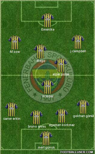 Fenerbahçe SK Formation 2014