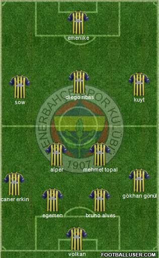 Fenerbahçe SK Formation 2014