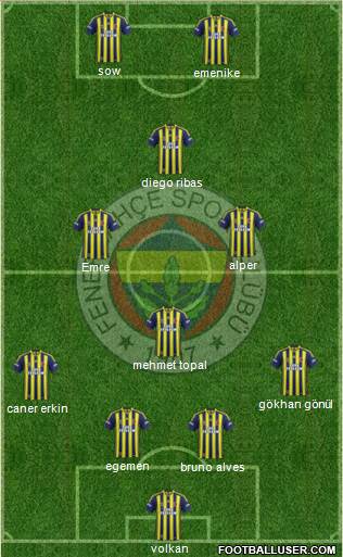 Fenerbahçe SK Formation 2014