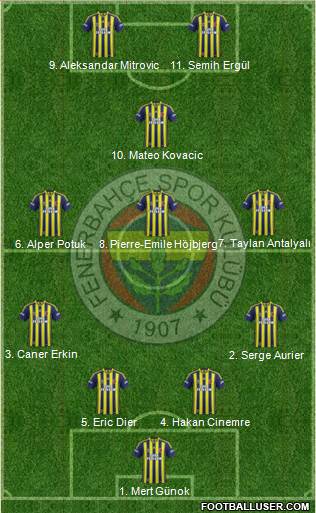 Fenerbahçe SK Formation 2014
