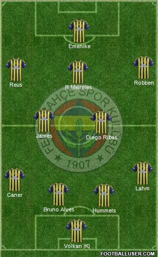 Fenerbahçe SK Formation 2014