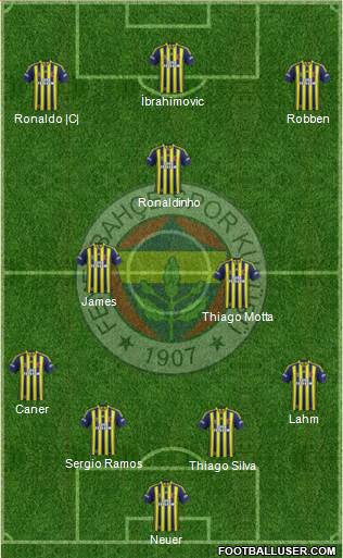 Fenerbahçe SK Formation 2014