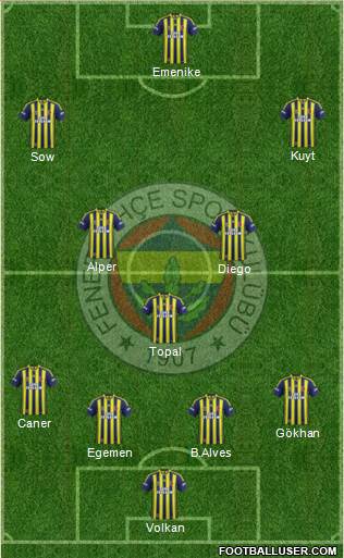 Fenerbahçe SK Formation 2014
