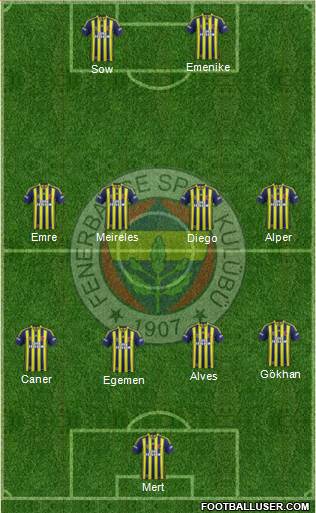 Fenerbahçe SK Formation 2014