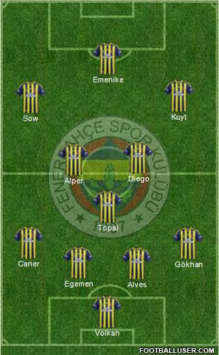 Fenerbahçe SK Formation 2014