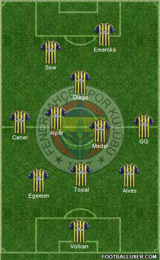 Fenerbahçe SK Formation 2014