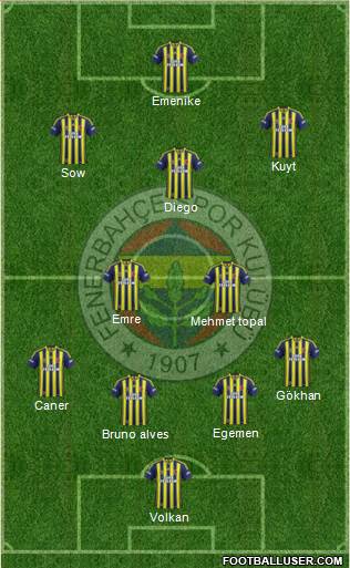 Fenerbahçe SK Formation 2014