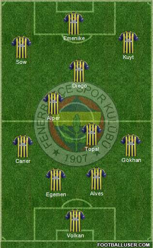 Fenerbahçe SK Formation 2014