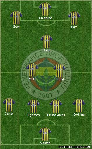 Fenerbahçe SK Formation 2014
