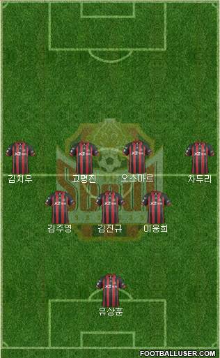 FC Seoul Formation 2014