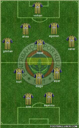 Fenerbahçe SK Formation 2014