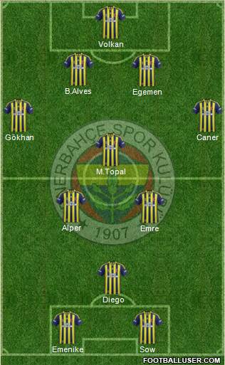 Fenerbahçe SK Formation 2014