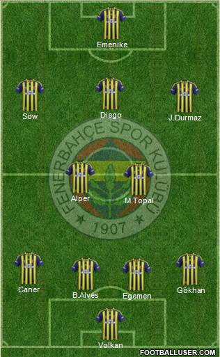 Fenerbahçe SK Formation 2014