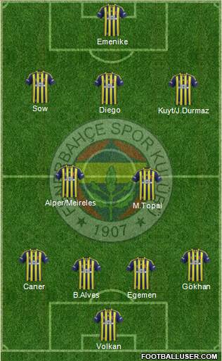 Fenerbahçe SK Formation 2014