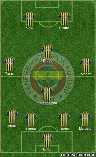 Fenerbahçe SK Formation 2014