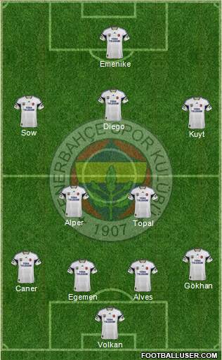 Fenerbahçe SK Formation 2014