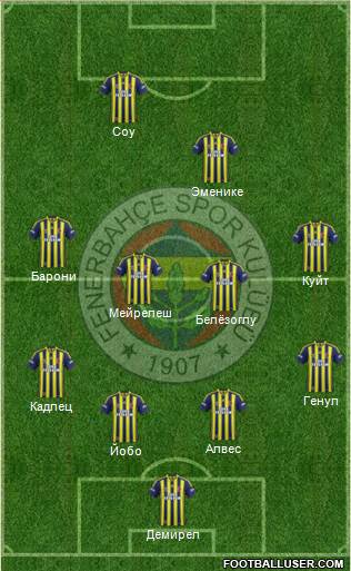 Fenerbahçe SK Formation 2014