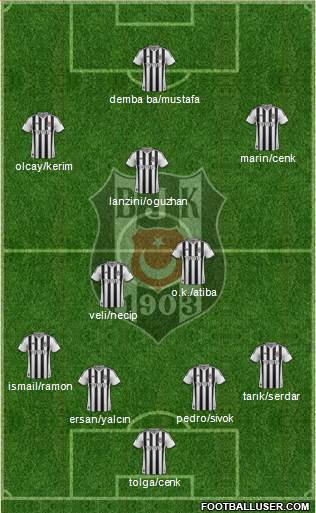 Besiktas JK Formation 2014