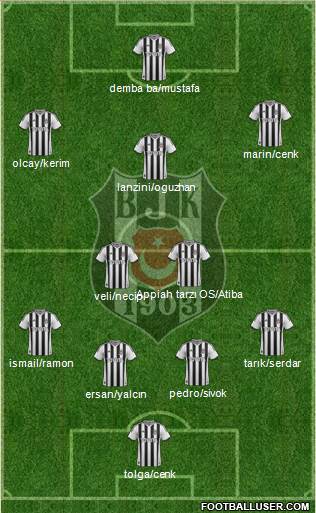 Besiktas JK Formation 2014