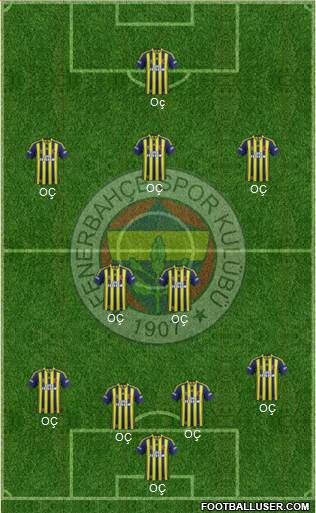 Fenerbahçe SK Formation 2014