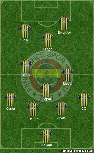 Fenerbahçe SK Formation 2014