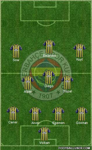 Fenerbahçe SK Formation 2014