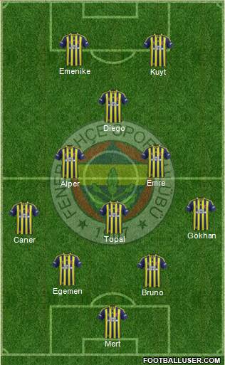 Fenerbahçe SK Formation 2014