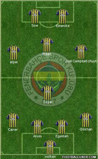 Fenerbahçe SK Formation 2014
