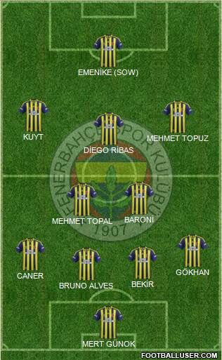 Fenerbahçe SK Formation 2014