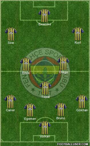 Fenerbahçe SK Formation 2014