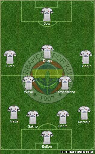 Fenerbahçe SK Formation 2014