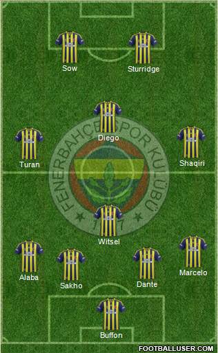 Fenerbahçe SK Formation 2014