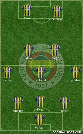 Fenerbahçe SK Formation 2014