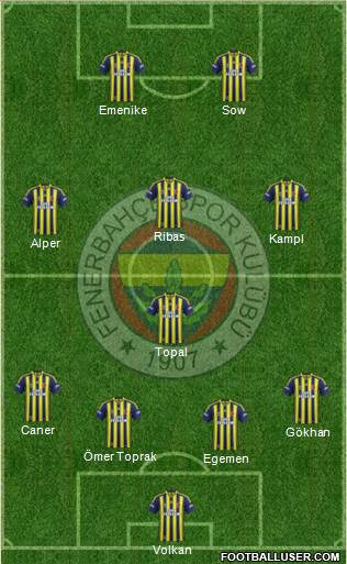 Fenerbahçe SK Formation 2014
