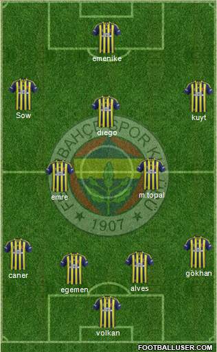 Fenerbahçe SK Formation 2014