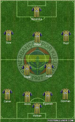 Fenerbahçe SK Formation 2014