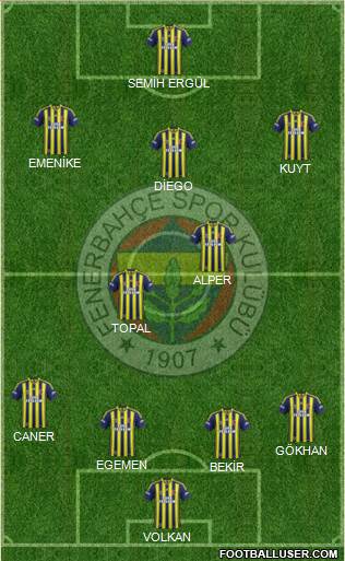 Fenerbahçe SK Formation 2014