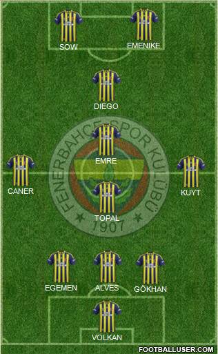 Fenerbahçe SK Formation 2014