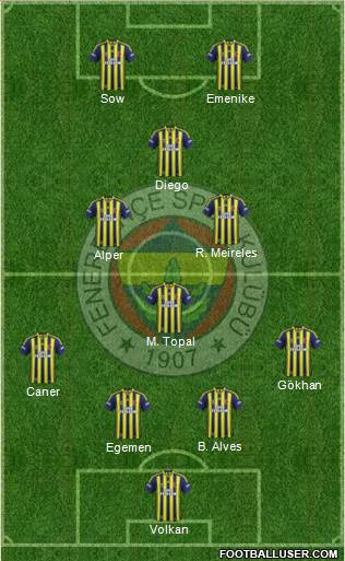 Fenerbahçe SK Formation 2014