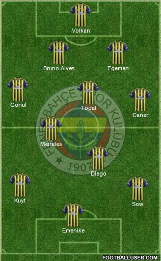 Fenerbahçe SK Formation 2014
