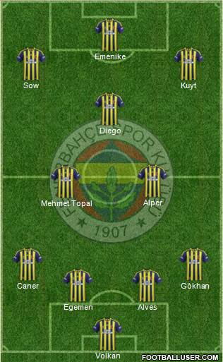 Fenerbahçe SK Formation 2014