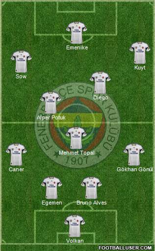 Fenerbahçe SK Formation 2014